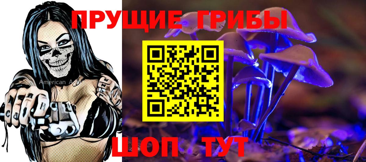 Казань  Галлюциногенные грибы мухоморы  Псилоцибиновые грибы мухоморы  закладка  Вход с VPN 